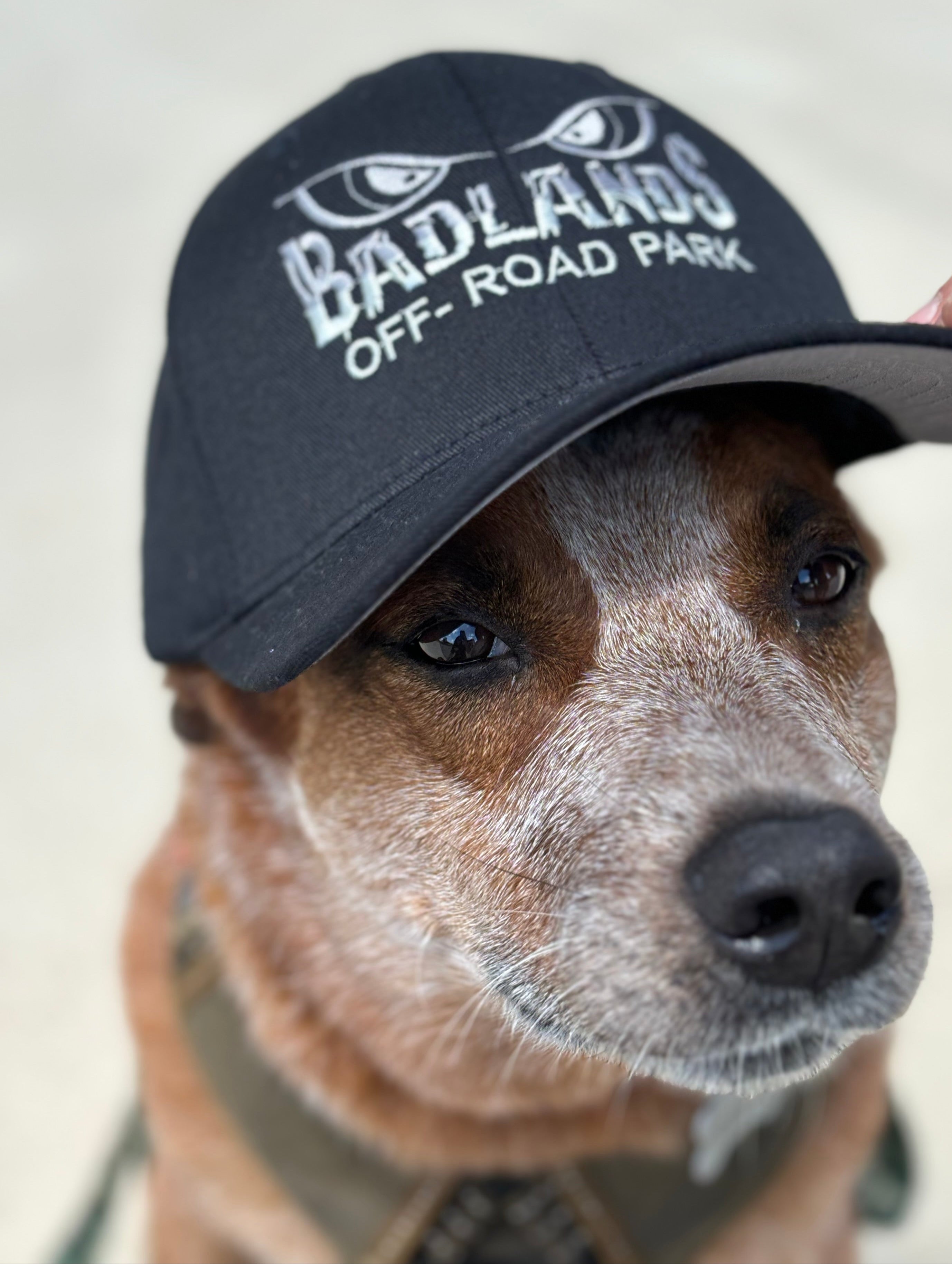 Badlands Black/Grey Flex-Fit Hat