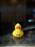 Badlands Rubber Duck