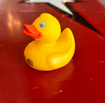 Badlands Rubber Duck