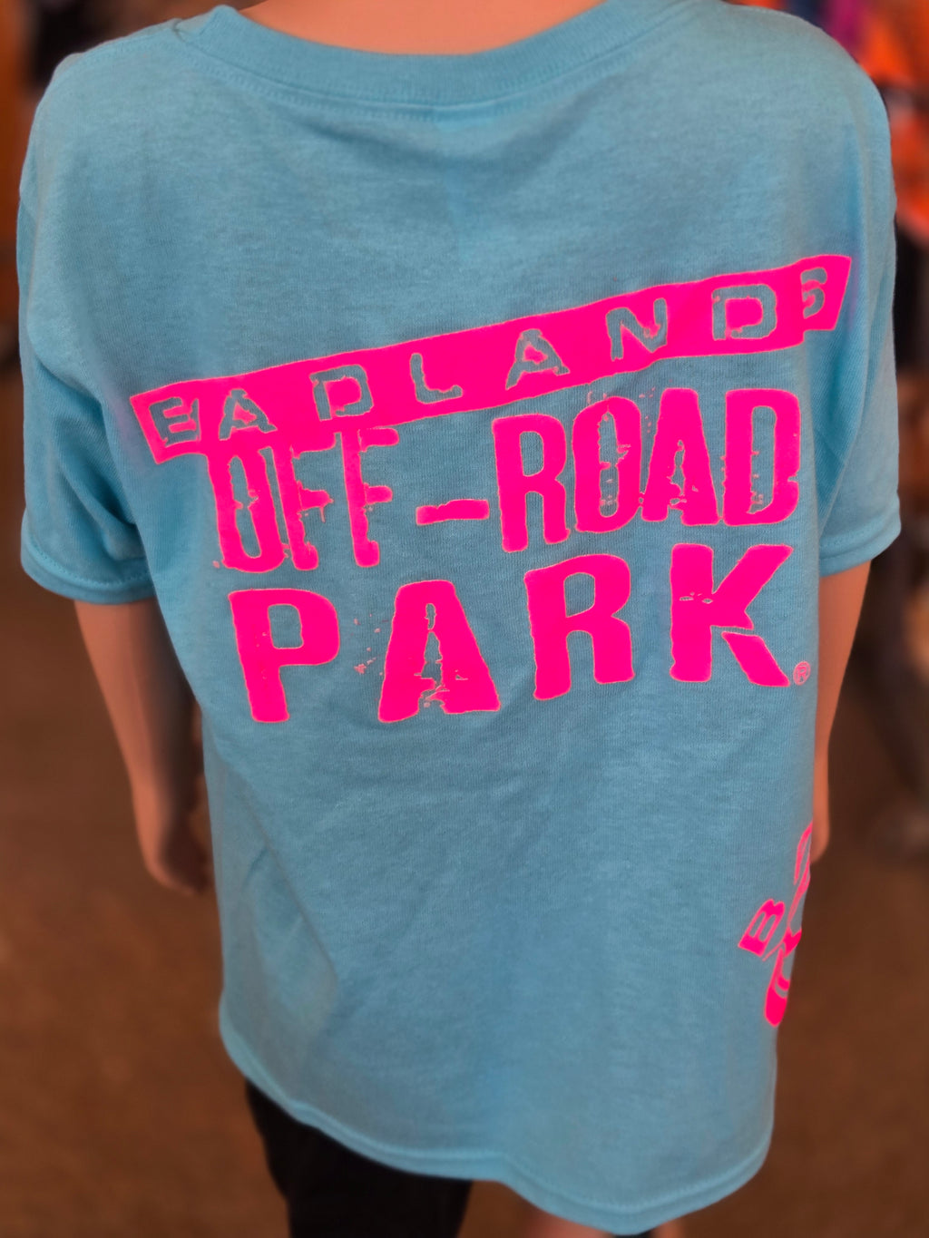 Badlands 30th Anniversary Blue/Pink Hip Youth Shirt